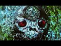 Rapid Alpha Decay by King Gizzard And The Lizard Wizard
