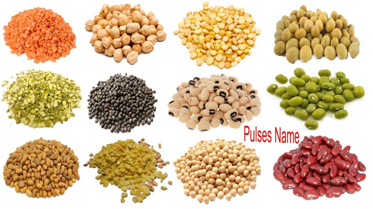 Pulses Name Meaning & Image | ডালের নাম | Necessary Vocabulary Tutorial