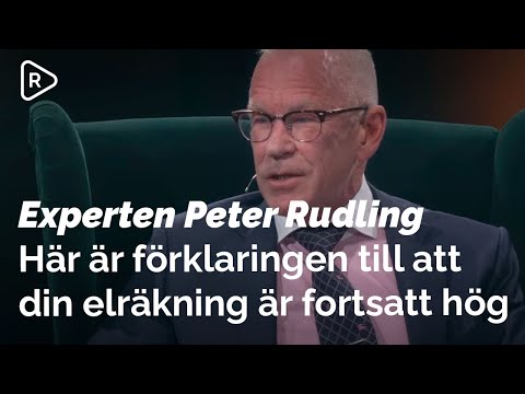 Därför är din elräkning fortsatt hög och funkar vindkraften? | Samtal med Samhället Peter Rudling
