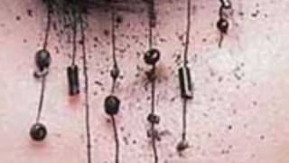 Donde Estabais? (Malos Tiempos) - La Unión