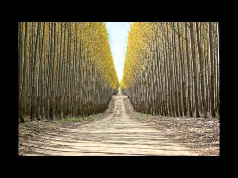 Grupul Emanuel Canada - Pe drumul ce duce mereu catre cer - Vol 4