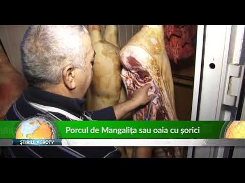 , title : 'Porcul de Mangalita sau oaia cu sorici 19 12 2018'