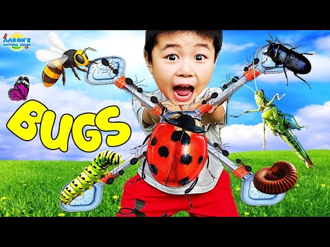KIDS! 🪲REAL Bugs Go CRAZY! 🐞Epic Bug City Adventure | EDUCATIONAL KIDS NATURE SHOW🌿