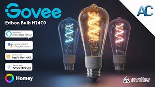 Govee Edison Bulb H14C0 | Un perfetto stile "Vintage che incontra il Moderno"