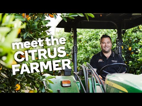 , title : 'Meet the citrus farmer - Fresh stories from the farm'