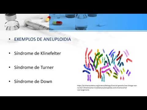 Aneuploidia e euploidia - Síndrome de Down