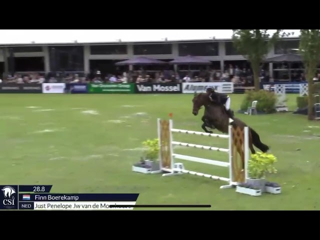 Mother of this Implanted Embryo is the CSI 1.60m juming mare Just Penelope JW van de Moerhoeve with rider Finn Boerekamp.