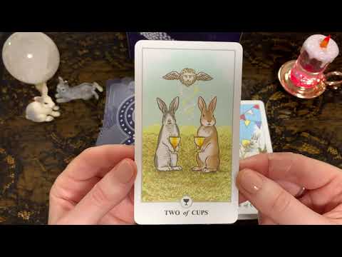Обзор колоды “ Lunalapin Tarot” 🐇🌝🐇 Таро Лунного Зайца.