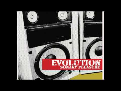 Evolution - The Perfect Combination Ft. Desko