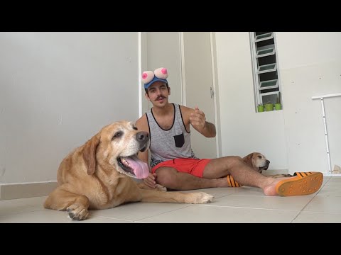 MUSTACHE'S DIARY - DAY 19: Thunder and Jóca