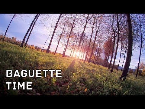 baguette-time-inav-21-dshot-360°-ahi-r9-dev-firmware-868mhz