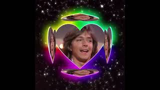 DAVID CASSIDY TRIBUTE-TWENTY-FOUR HOURS A DAY