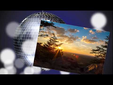 bora fırlangeç - direniyorum