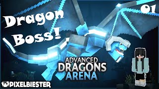 Advanced Dragons Arena!  Epi 1: Leveling up dragons!