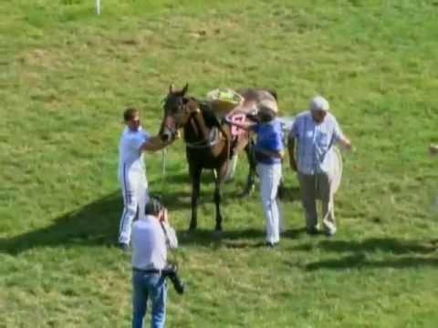 Barack Flevo & Fred Handelaar  winnen De Lier-prijs - Duindigt 28 juli 2013