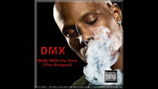 DMX - Already