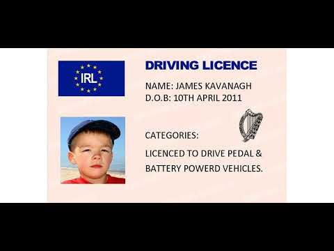 My Irish driving licence exam