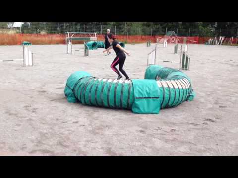 Startti Mynis 20.8.2016