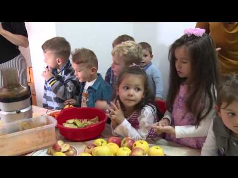 Programi edukativ ne kopshte - Kopshti Edina