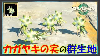 【ゼルダの伝説ティアキン】「カガヤキの実」が大量に落ちている場所！地底/夜の敵に有効な素材