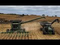 Our Easiest Corn Harvest Ever