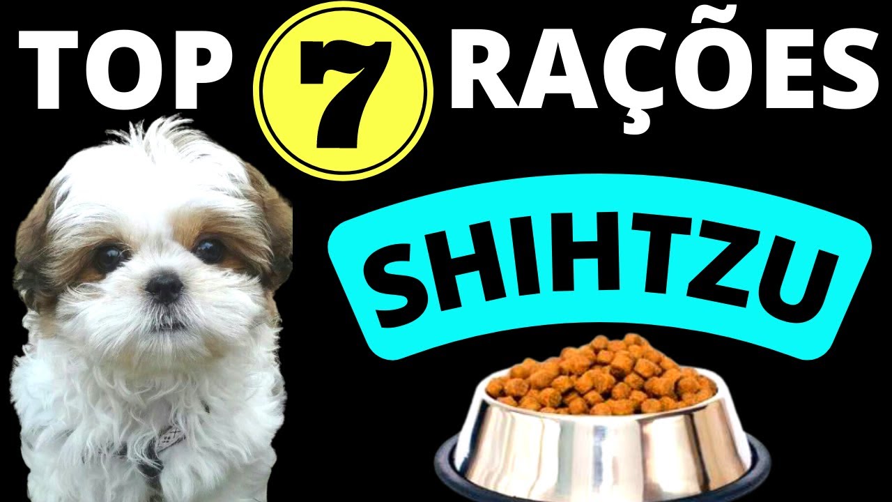 TOP 7 melhores RAÇÕES PARA SHIH TZU! Só as melhores rações!