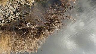 Years On Earth - what does it mean?