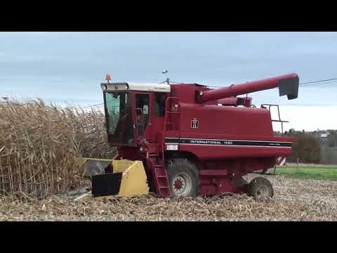 Landb. De Rijck - Asse - International 1460 Axial-Flow
