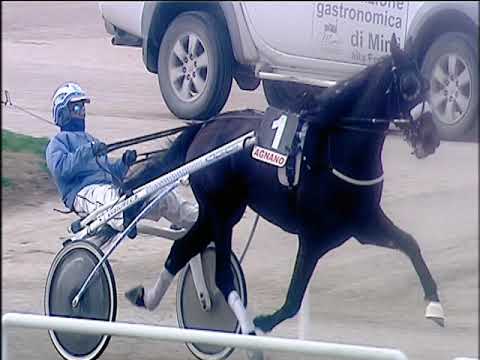 Trotto 22/12/2019 - 2ª corsa