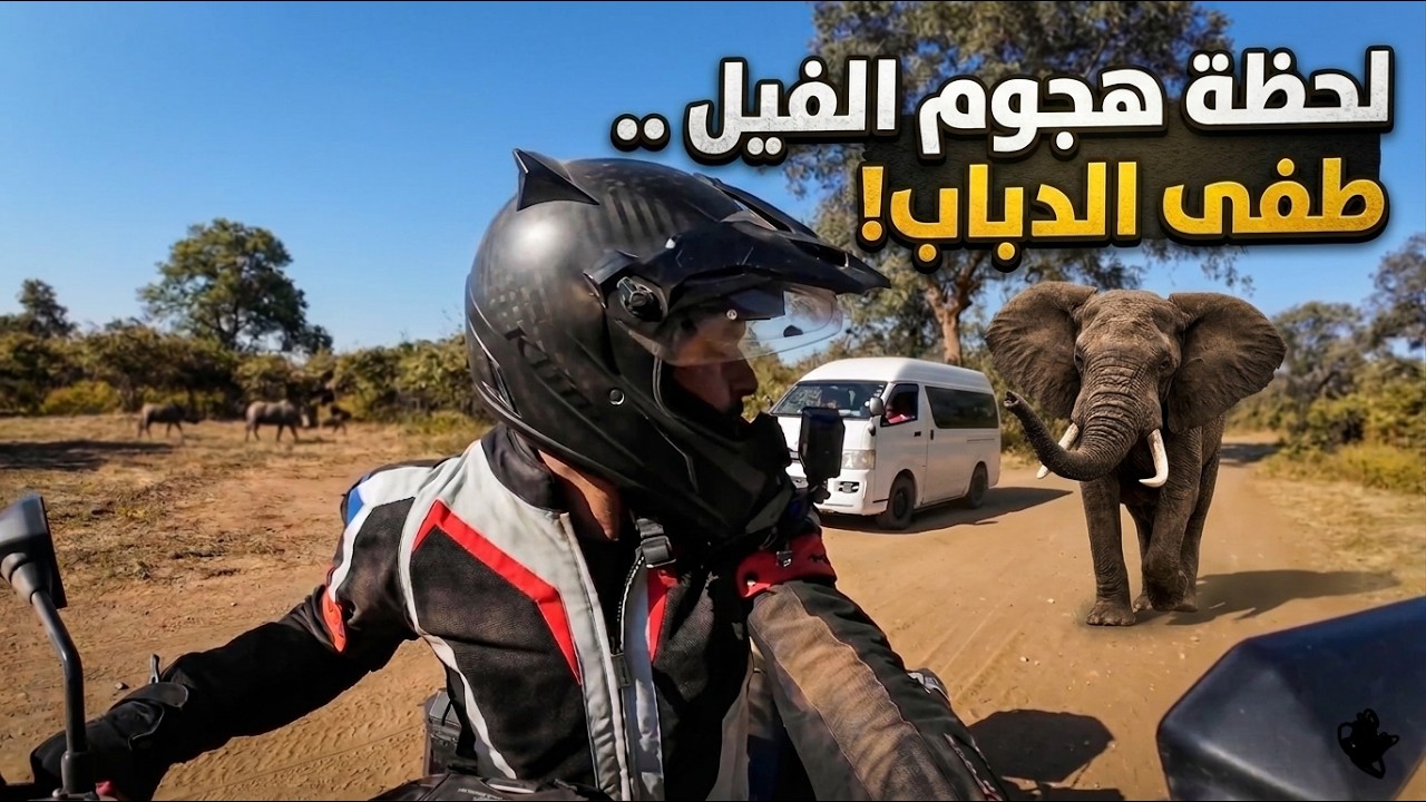 125- زامبيا / مغامرة السفاري في قلب أدغال أفريقيا 🇿🇲