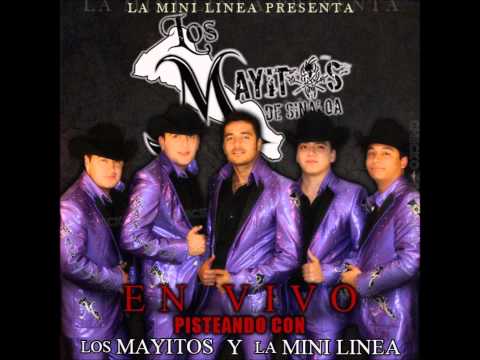 Los Mayitos De Sinaloa - Abel Cazares (En Vivo) 2012