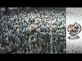 Mumbai S Money Madness