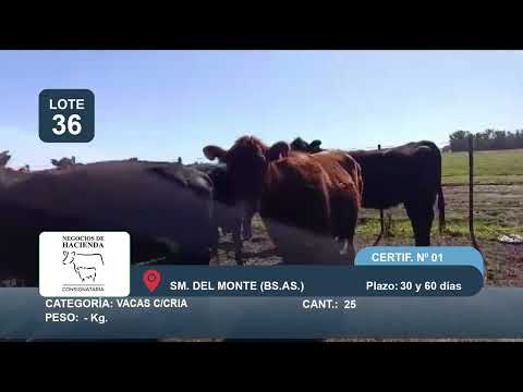 Lote VC C/ Cría - San Miguel del Monte Bs As