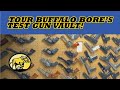 Von 22LR Bis 600 Nitro Handfeuerwaffen Gewehre Schrotflinten Besichtigen Sie Den Tresor Vo
