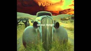 Tinyfish - The June Jar