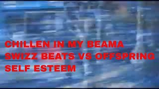 Swizz Beatz Mash Up  w/ Offspring - "Chillen In My Beama" vs "Self Esteem"