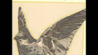 Jimmy Chamberlin Complex - Life Begins Again - Full album