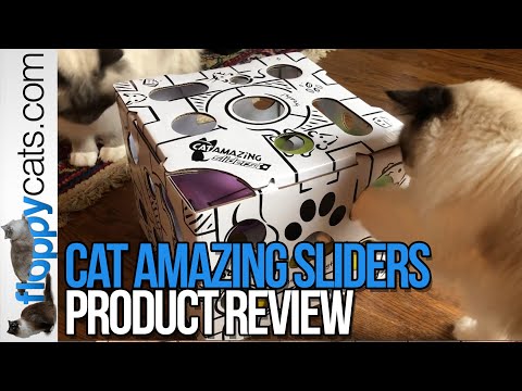 Stimulating Cat Puzzle: Cat Amazing Sliders Product Review