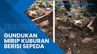 Viral Gundukan Mirip Kuburan di Lahan Kosong, Setelah Digali Ternyata Isinya Buat Geleng-geleng!
