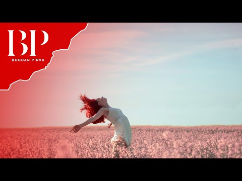 Bogdan Pirvu and Manele de Petrecere