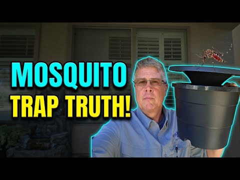 How This “Trojan Horse” Bucket Eliminates Backyard Mosquitoes (In2Care System)