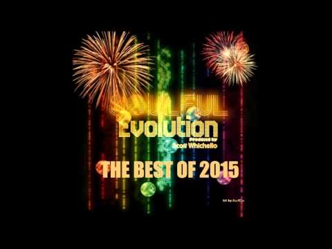 Soulful Evolution The Best of 2015 Special (129)