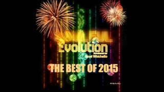 Soulful Evolution The Best of 2015 Special (129)