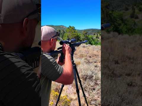 What competitor scares you