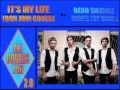 16. It's My Life (Bon Jovi cover) - Dead Silence ...