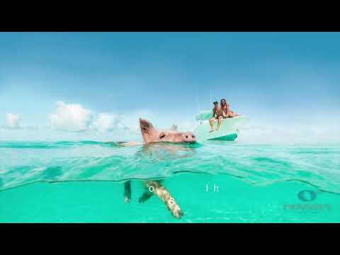 Odyssey Aviation Bahamas, #1 FBO in The Bahamas, Slideshow 2022