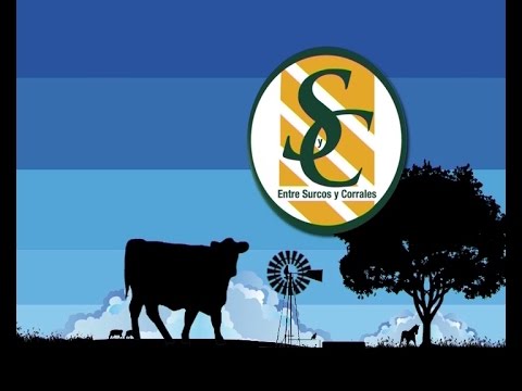 PROGRAMA MIERCOLES 18-05-16 / PARTE 01