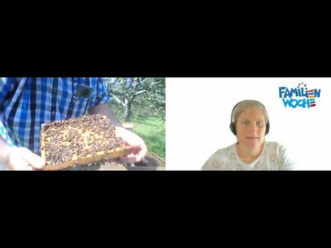 #15 (Teil 2) // Live bei den Bienen