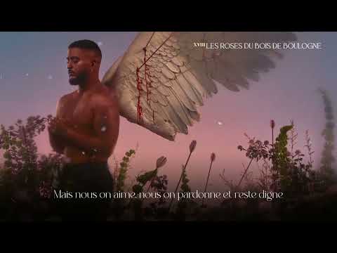 Slimane - Les roses du bois de Boulogne (lyrics video)