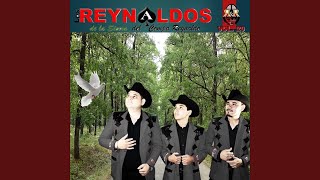 Qué Vida Tan Vivida